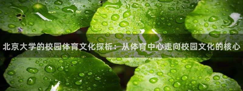 意昂集团