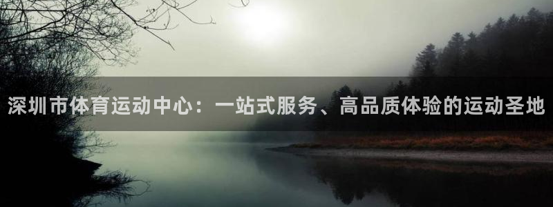 伟德国际