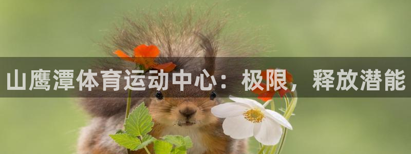 伟德国际体育eon