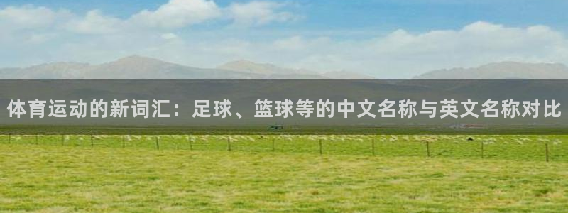 伟德国际平台登录