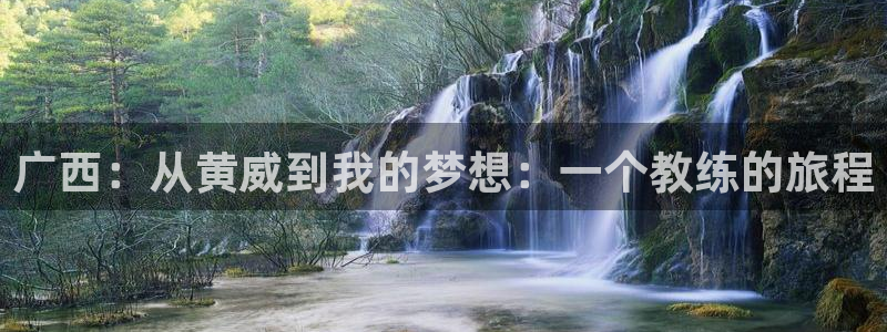 伟德国际平台