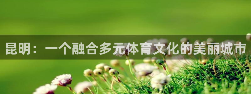 伟德国际体育和杏耀是哪个公司的