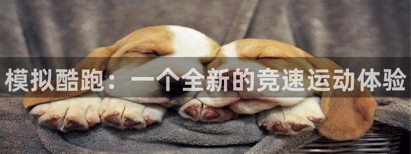 伟德国际体育老板是谁