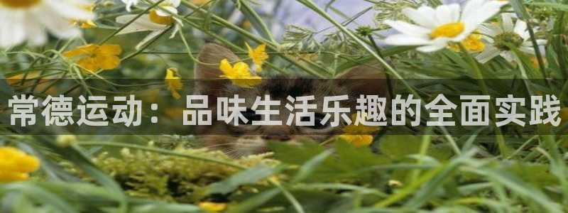 伟德国际5招商