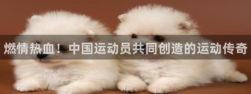 伟德国际3注册