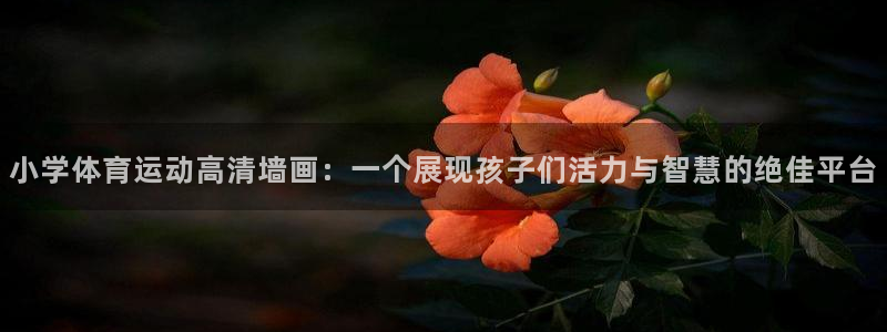 伟德国际4