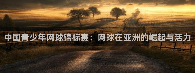 意昂的动画