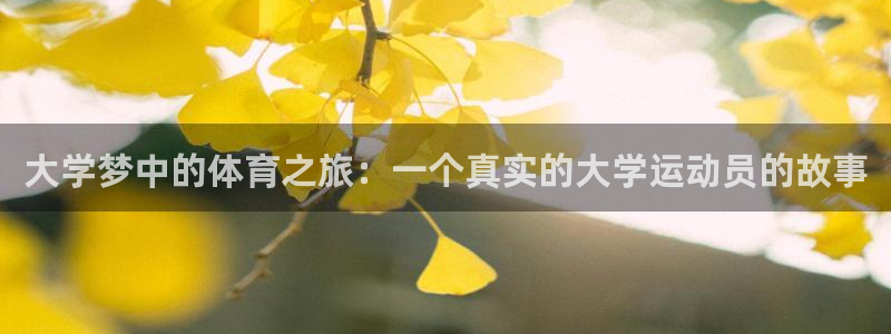 伟德国际注册