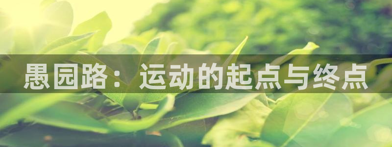 伟德国际vk