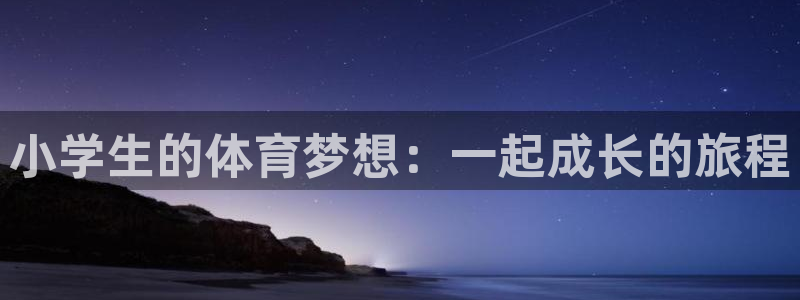 伟德国际体育网页版入口