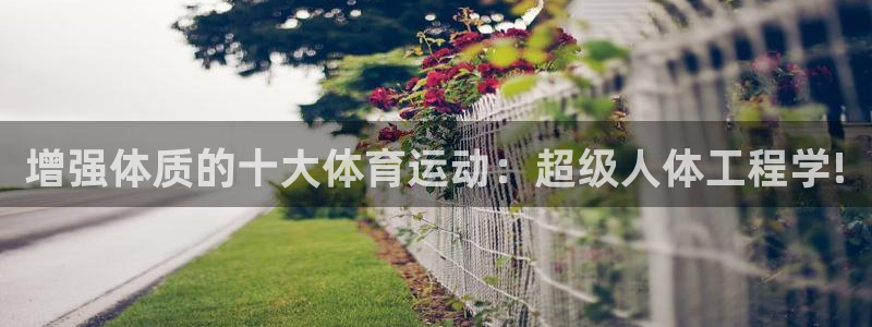 意昂3官网登录
