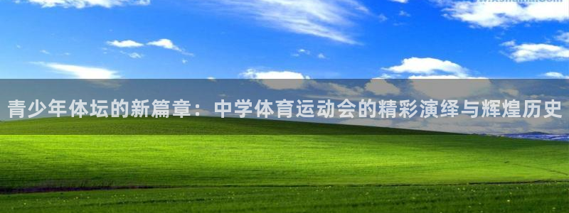 伟德国际体育平台登录入口
