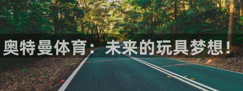 伟德国际体育和杏耀是哪个公司的